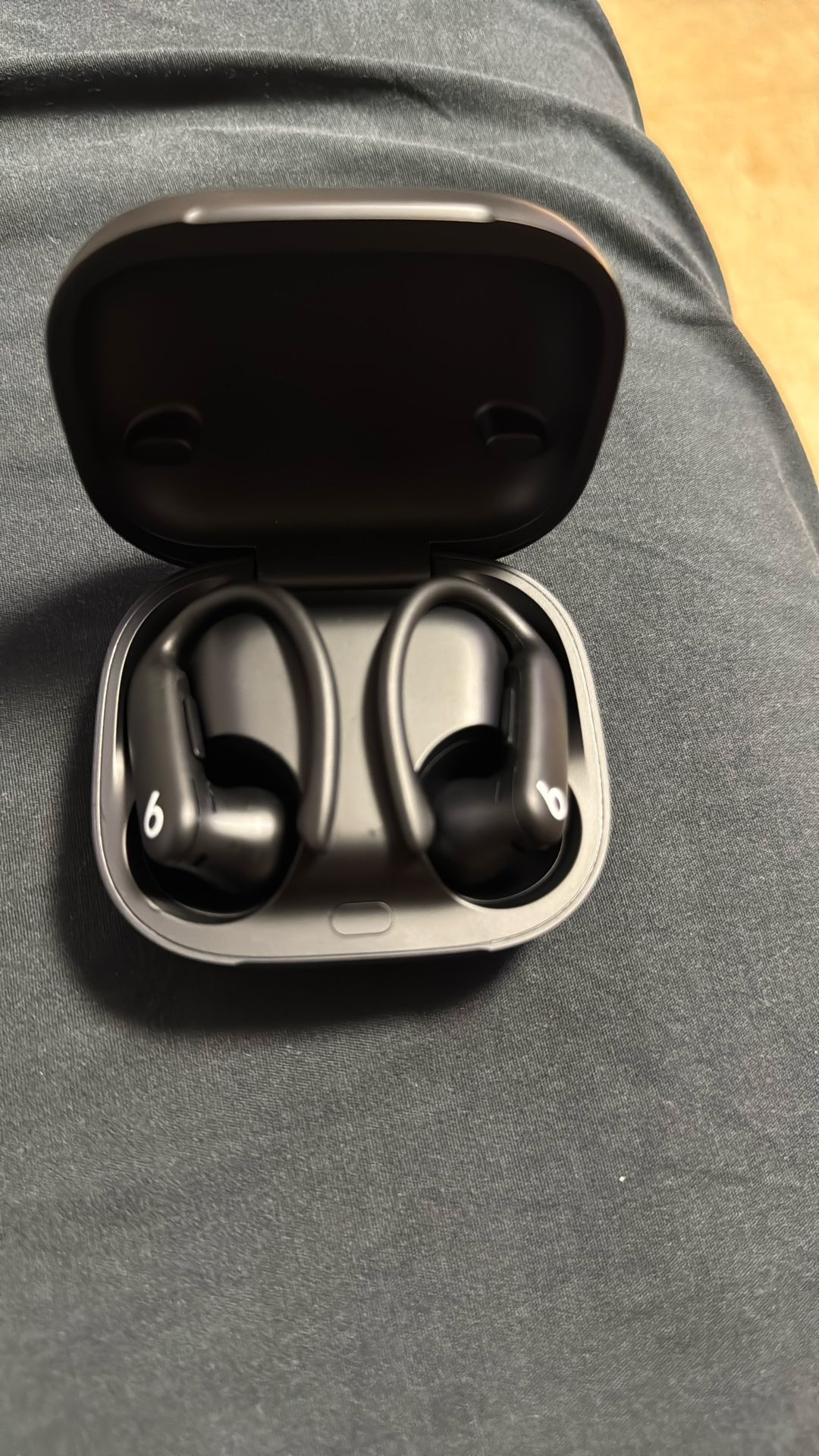 Power Beats Pro 2