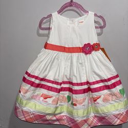 Gymboree 12-18m Baby Dress White Floral Ribbon