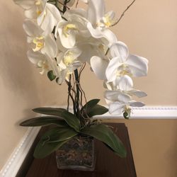 Large Beautiful  Silk Orchid  Flowers  In The Square Glass Vase 28 “ Tall 