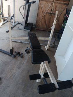 Olympic Bench