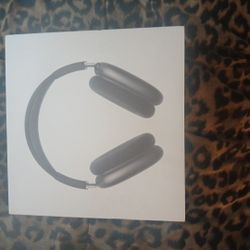 Apple Air Pods Max With Smart Case 