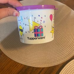 Tupperware Small Container 