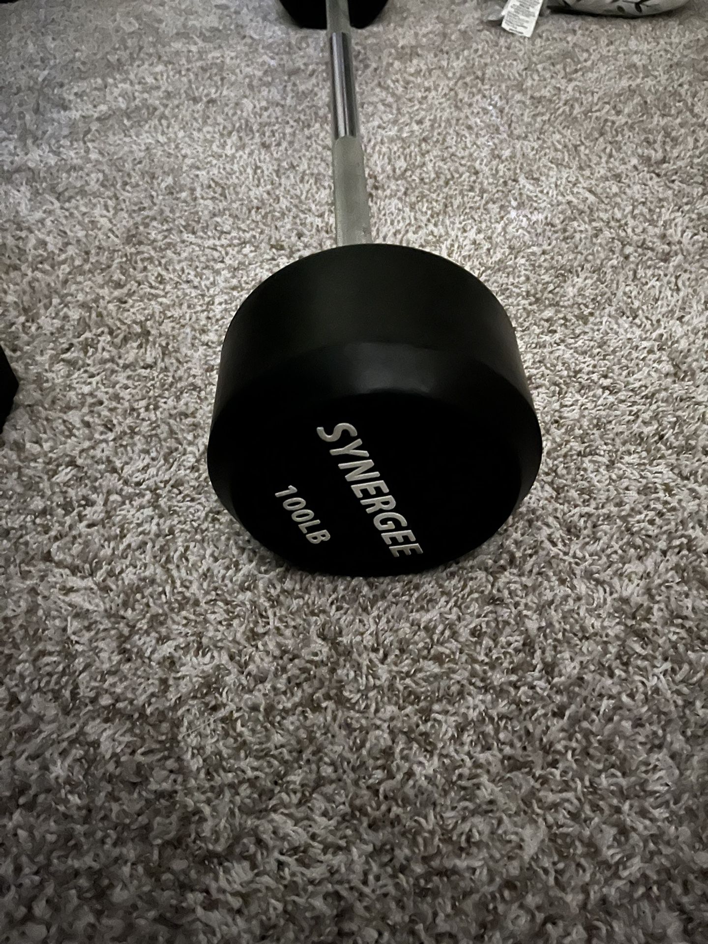 100lb Fixed Straight Curl Bar