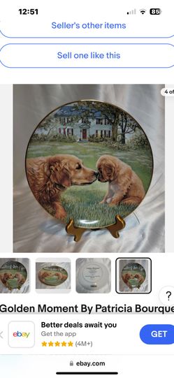 Golden Moments By Patricia Plate