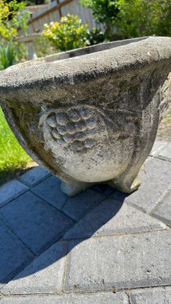 Cement garden pot