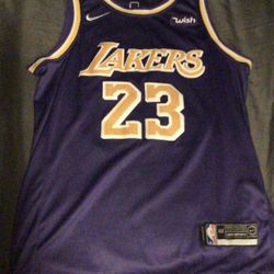 Lebron James Jersey