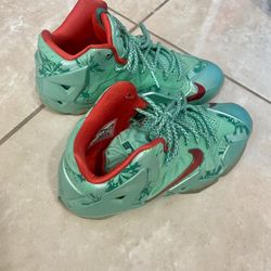 Labron James Nike Shoes 