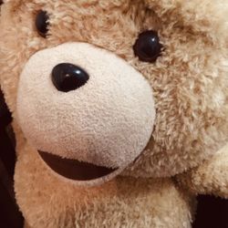 Ted Bear 🐻 Original 