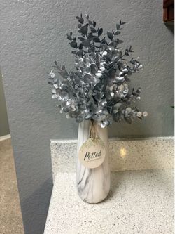 Potted Flowers