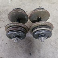 Dumbells Adjustable 