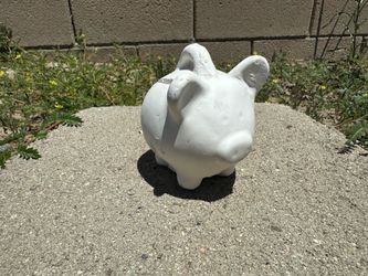 Mini Piggy Plaster Casts