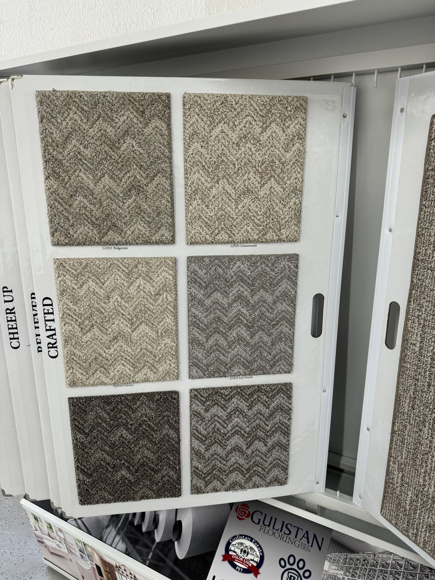 New Carpet Carpet