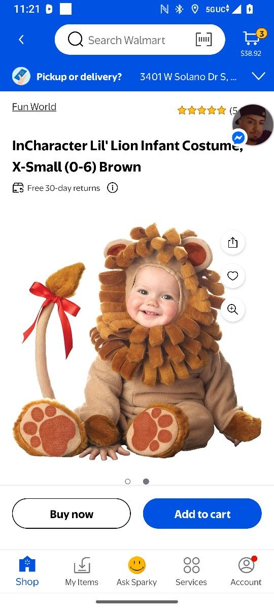 Xs Lion Infant Costume