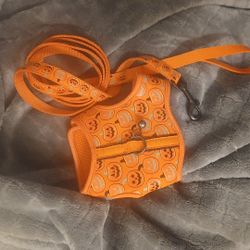 Halloween CAT / KITTEN Harness