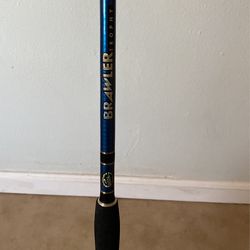 Off Shore Angler Brawler Spinning Rod