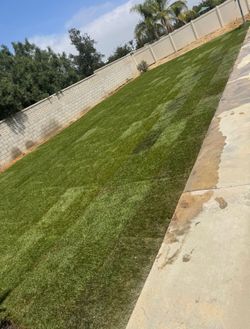 New grass installation