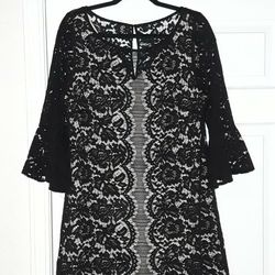 Women's Size 14 Lane Bryant Above-the-knee Party Dress Stretch Lace