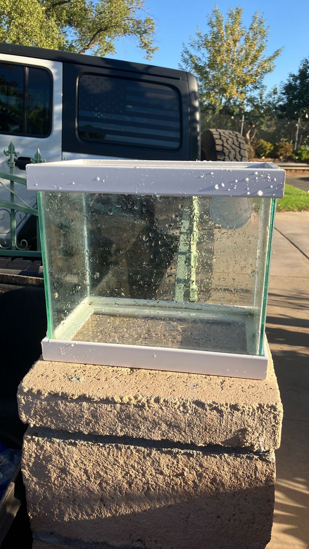 Selling This Fish Tank