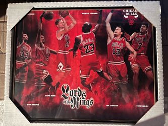 Chicago Bulls 'Lords of the Rings' Framed Poster