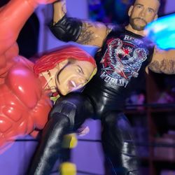 CM Punk  Main Event Action Figure 