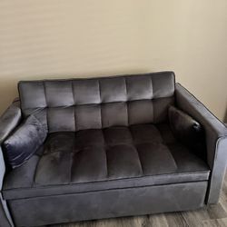 Couch/Pull Out Bed