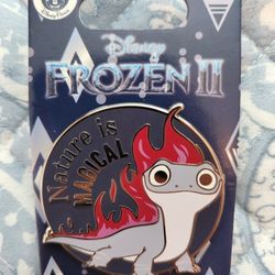 Disney Pin Frozen 2 Limited Release Bruni Fire Spirit Lizard Nature Is Magical