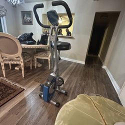 Xterra Upright exercise Bike
