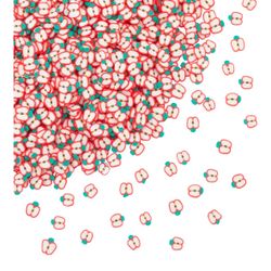 Fruit Nail Art Slices 