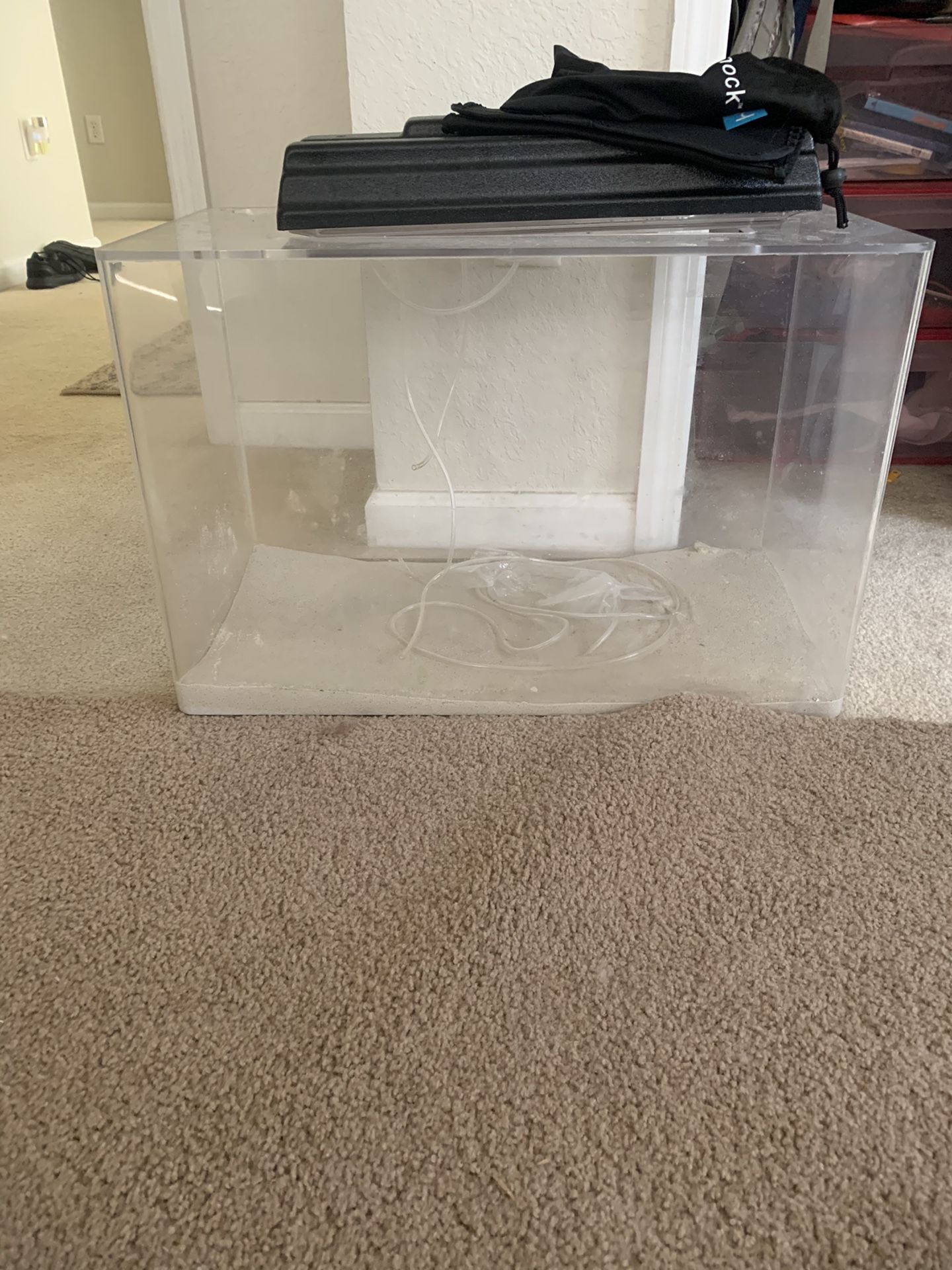 Acrylic 20 gal fish tank with everything