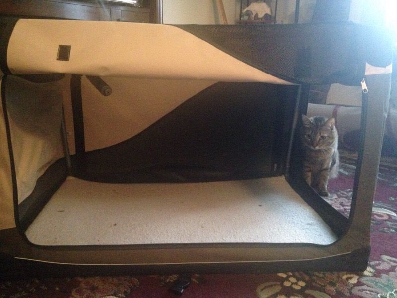 Large canvas dog crate