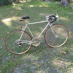 1976 SCHWINN CONTANEINTAL. 10 SPEED   SHOW ROOM CONDITION.  500.00