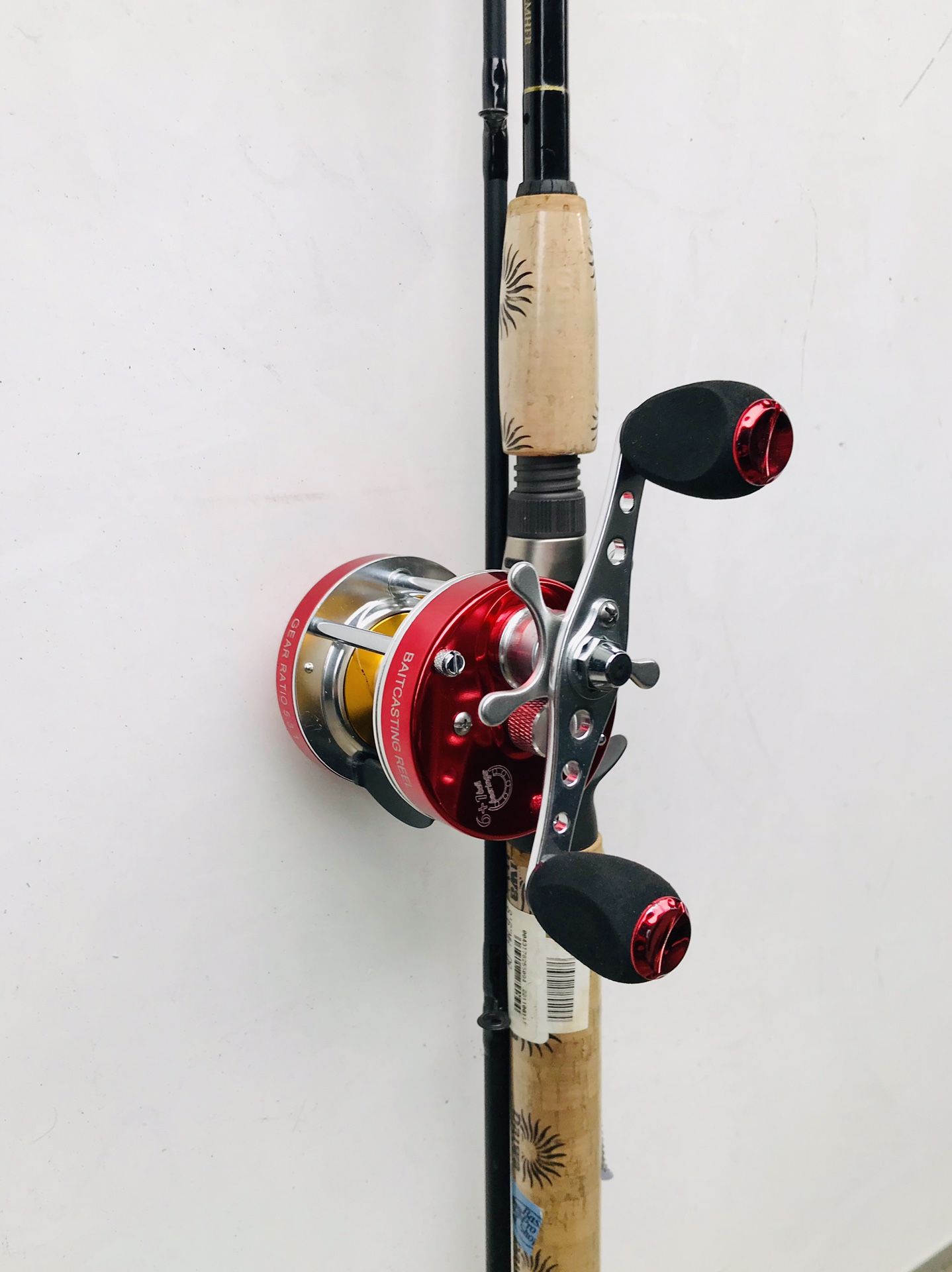 Fishing rod with reel