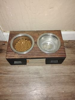 Cat or small dog 2 bowl feeder uplifted