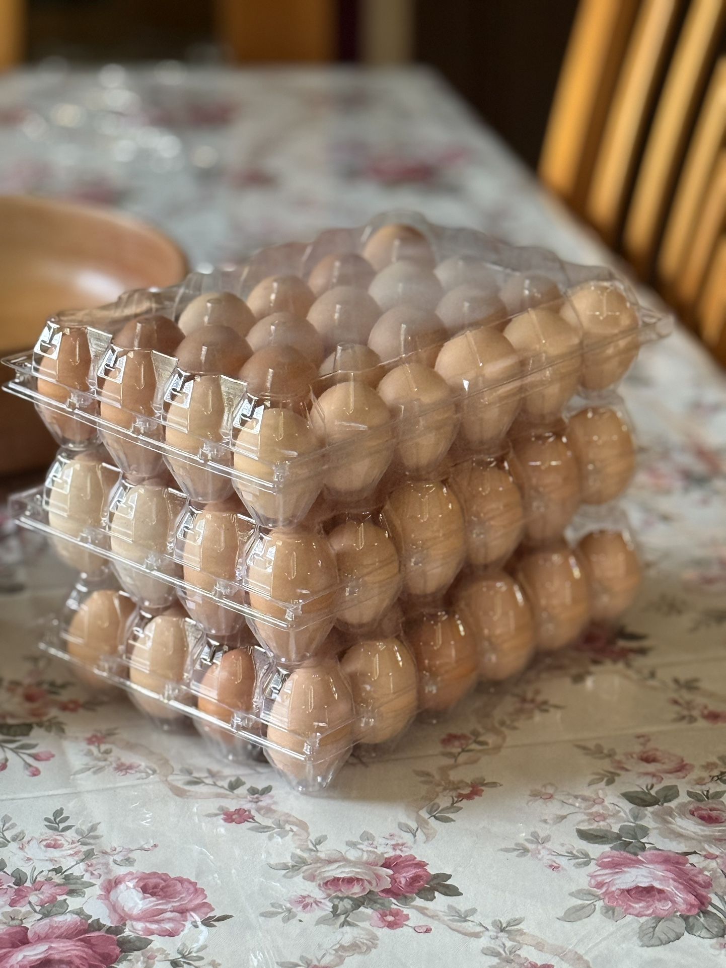 Fresh Eggs