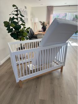 Crib - transitional for baby to toddler