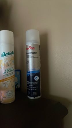Dry shampoo and shoe cleaner