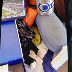 Colts Chris Ballard coach colltive set