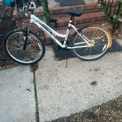 Roadmaster 26  Women’s Mountain Bike 