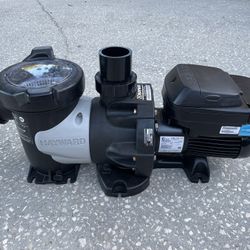Hayward Pool Pump 