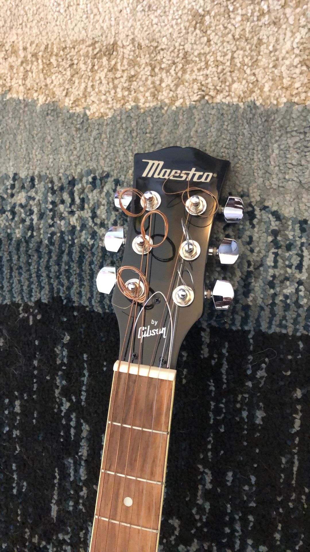 Maestco By Gibson , six string acoustic guitar