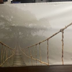 Ikea Picture Frame.  78 Long X 55 Tall   20.00