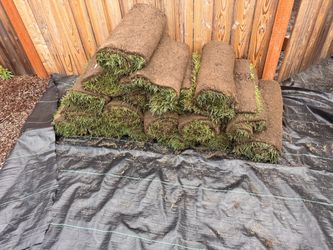 18 rolls of sod. Free delivery today