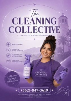 Home cleaning service