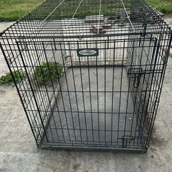 Large Dog Crate 