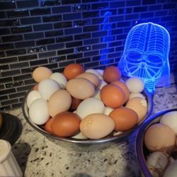 Fresh Eggs