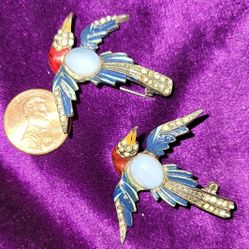 Pair of PHOENIX bird Pins. 