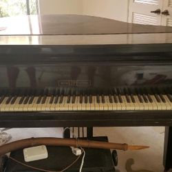 1920 Rich Lipp And Son Grand Piano