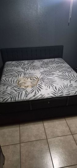 Free!! King Size Matress