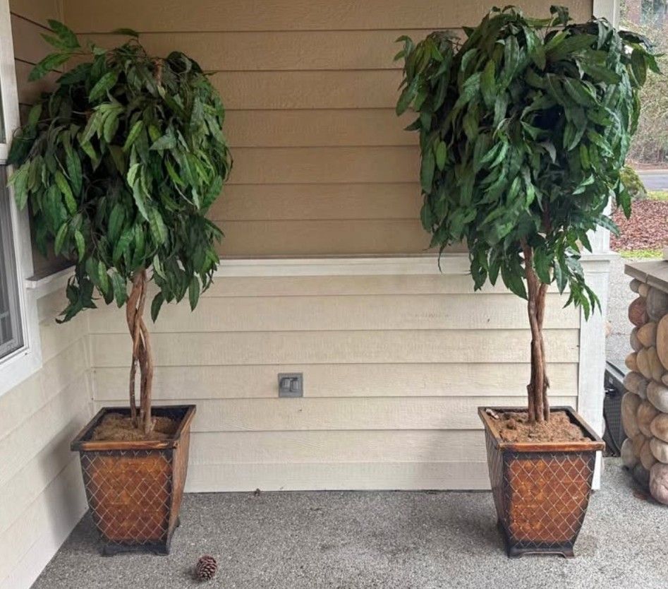FAUX PLANT/ TREE - FOR BOTH (7 FT)
