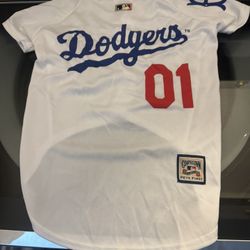 Dog Dodger Jersey